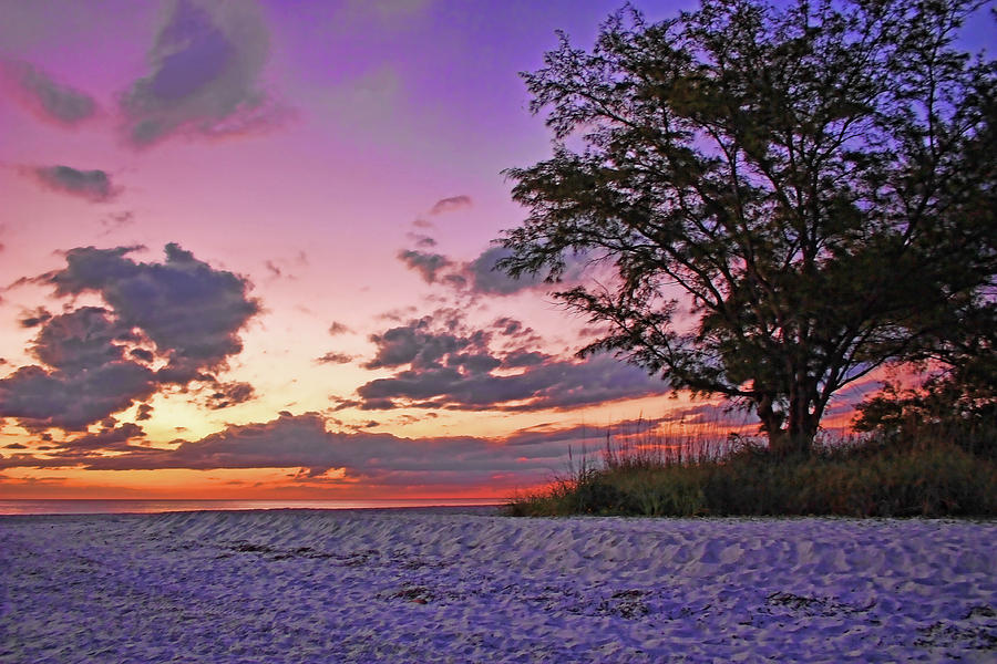 My Quiet Place Photograph by HH Photography of Florida | Fine Art America