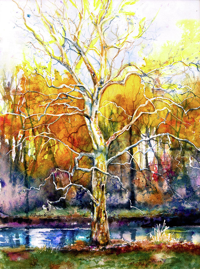 My Sycamore Tree Painting by Patricia Allingham Carlson