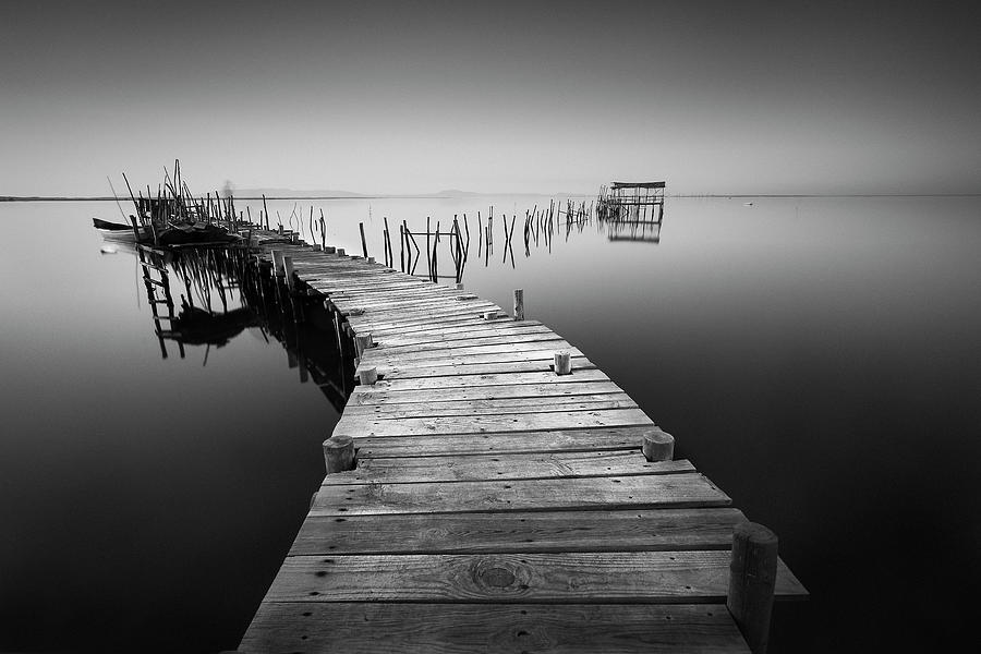 My Way 5 Photograph by Moises Levy - Fine Art America