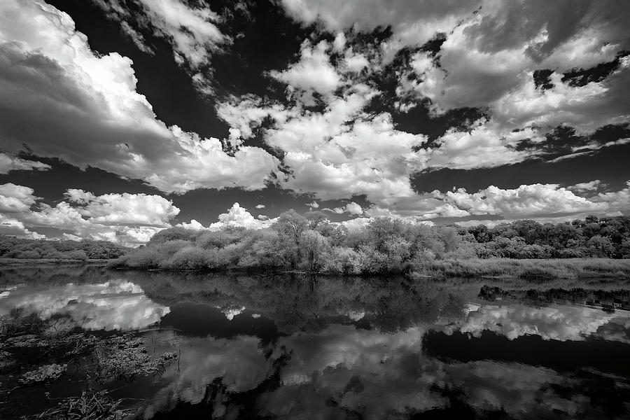 Black And White Photograph - Myakka Dream by Jon Glaser