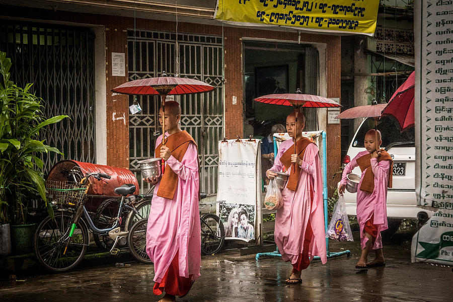 Myanmar Buddhist Nuns Photograph by Joshua Van Lare