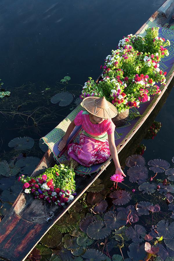 Myanmar, Shan, Inle Lake, Nyaungshwe, Boat On The Way To The Market And Water Lily Digital Art by Tim Mannakee