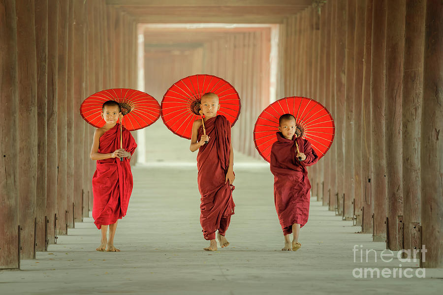 Myanmar The Three Novice Walking Photograph by Sutiporn Somnam