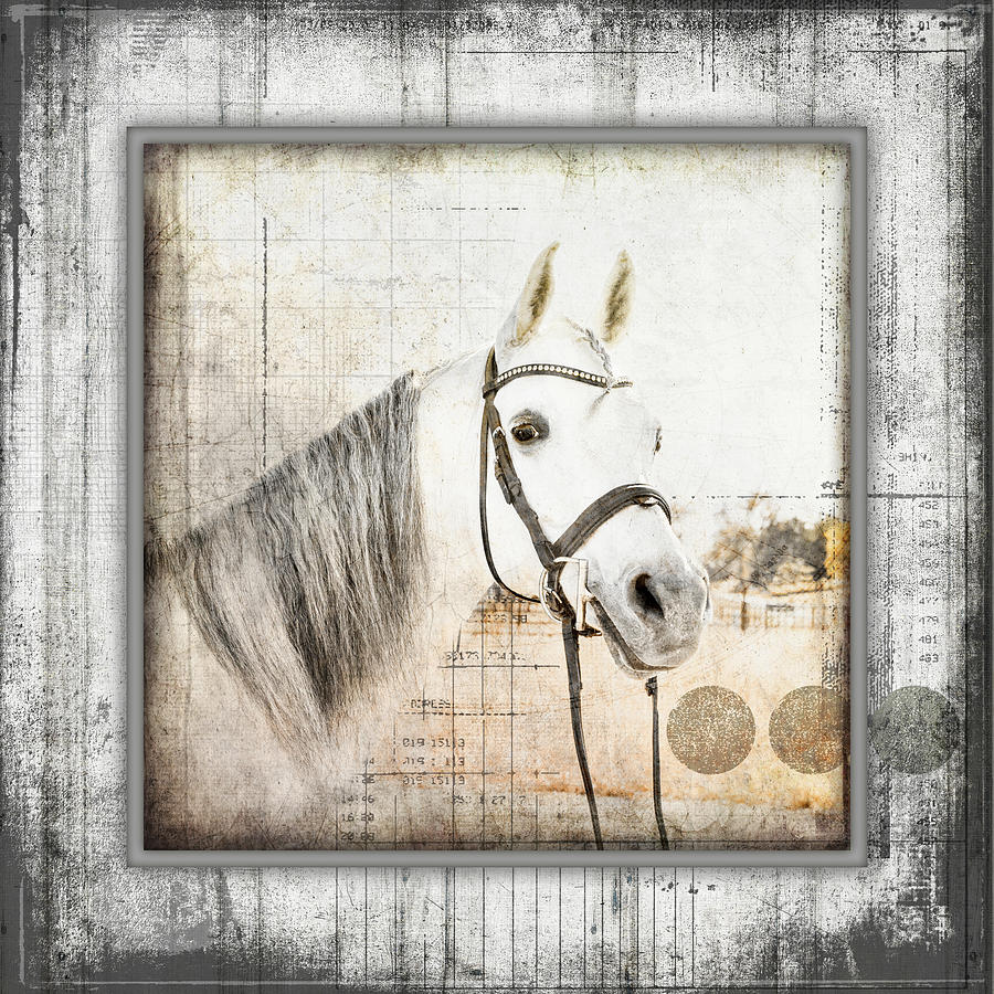 Horse Mixed Media - Myfarmmyway V6 3 by Lightboxjournal