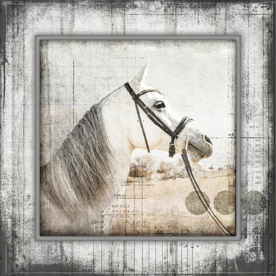 Horse Mixed Media - Myfarmmyway V6 4 by Lightboxjournal