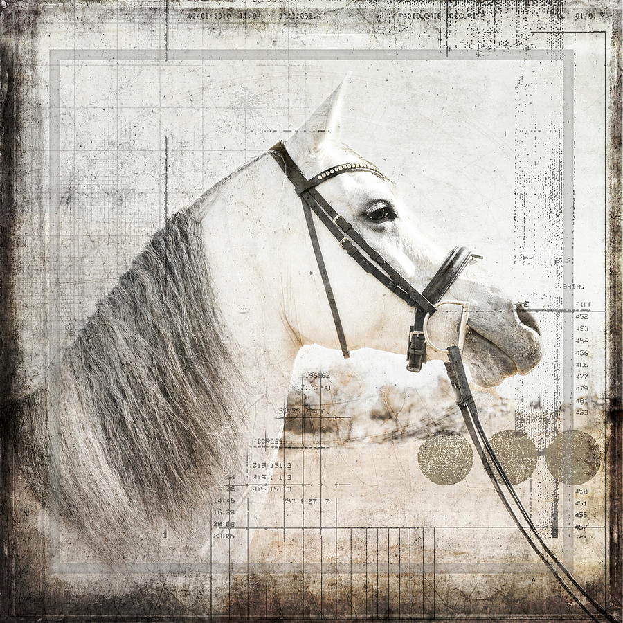 Horse Mixed Media - Myfarmmyway V6 5 by Lightboxjournal