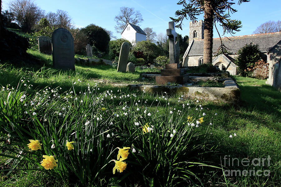 Mylor Churchyard Spring Flowers Photograph by Terri Waters
