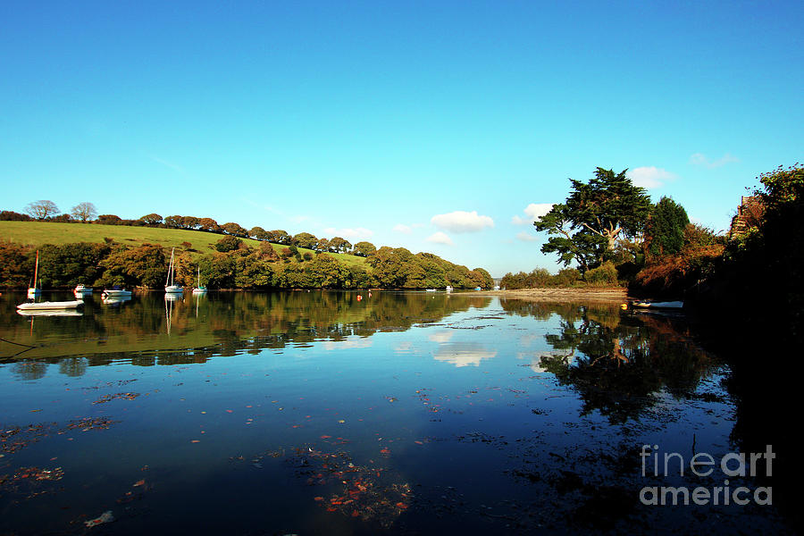Nature Photograph - Mylor Creek in Autumn by Terri Waters