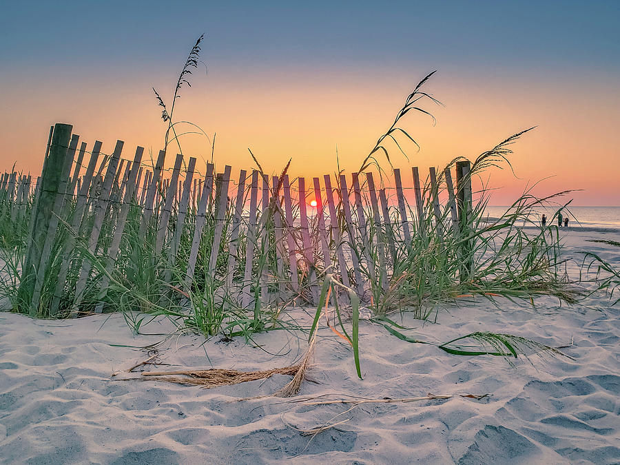 Myrtle beach dunes Photograph by Darrell Foster