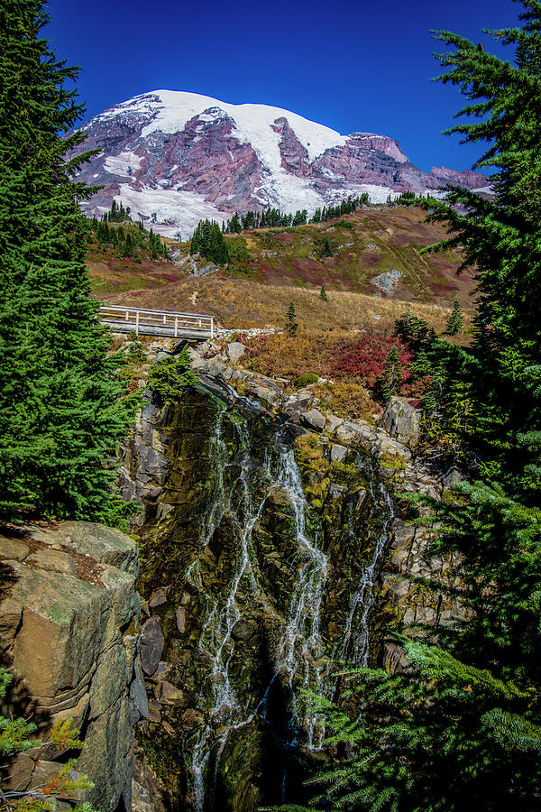 Myrtle Falls Photograph by Michael Sedam - Fine Art America