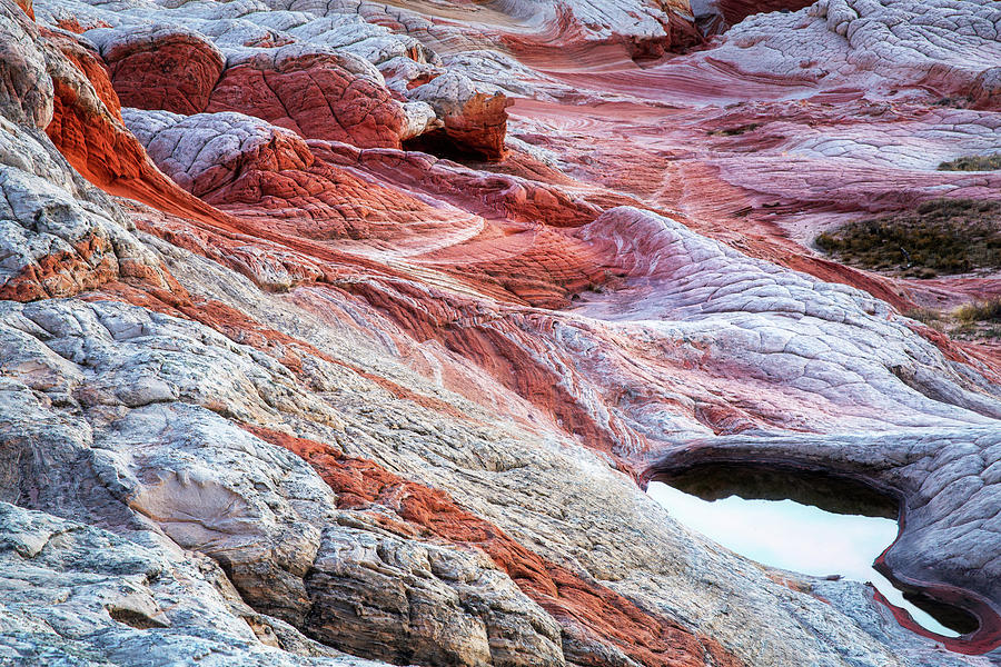 Mysterious Desert Sandstone Creature 3 Photograph by Alex Mironyuk