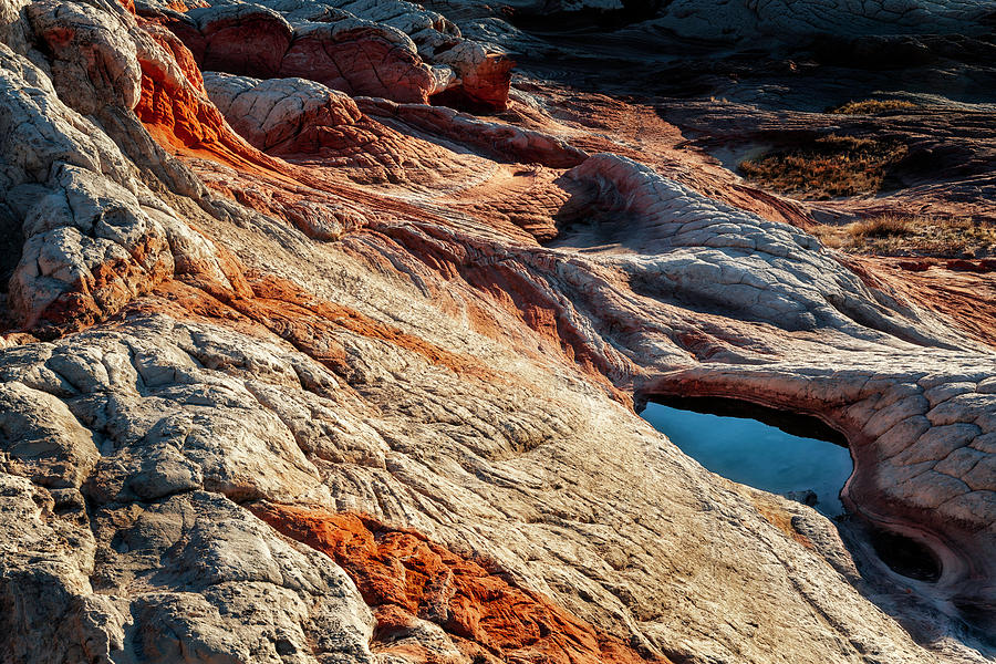 Mysterious Desert Sandstone Creature  Photograph by Alex Mironyuk