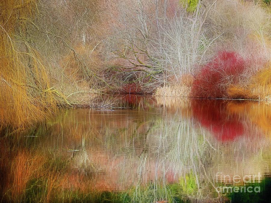 Mysterious Fall Pond by Sue Harper Mysterious Fall Pond by Sue Harper