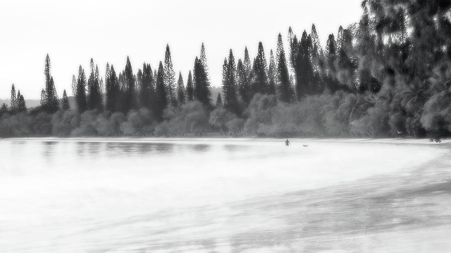 Mysterious foggy morning at Kuto Bay by Daniela Constantinescu Mysterious foggy morning at Kuto Bay by Daniela Constantinescu