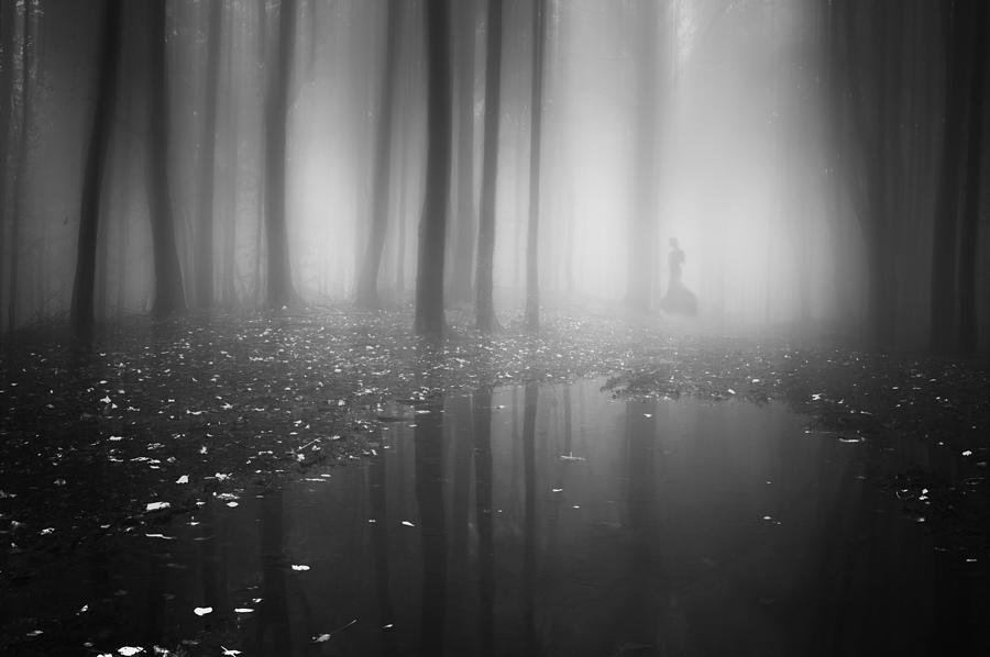 Black Photograph - Mysterious Forest by Baijin