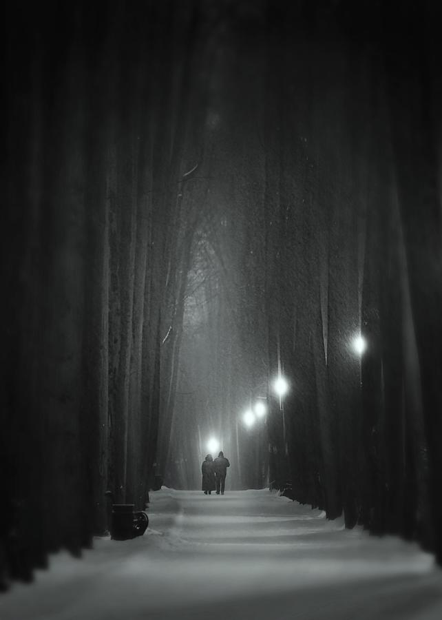 Mysterious Forest Photograph by Maxim Makunin