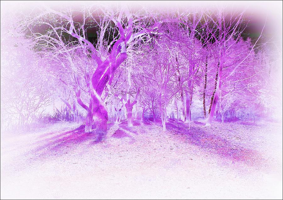 Tree Digital Art - Mysterious Orchard by Slawek Aniol