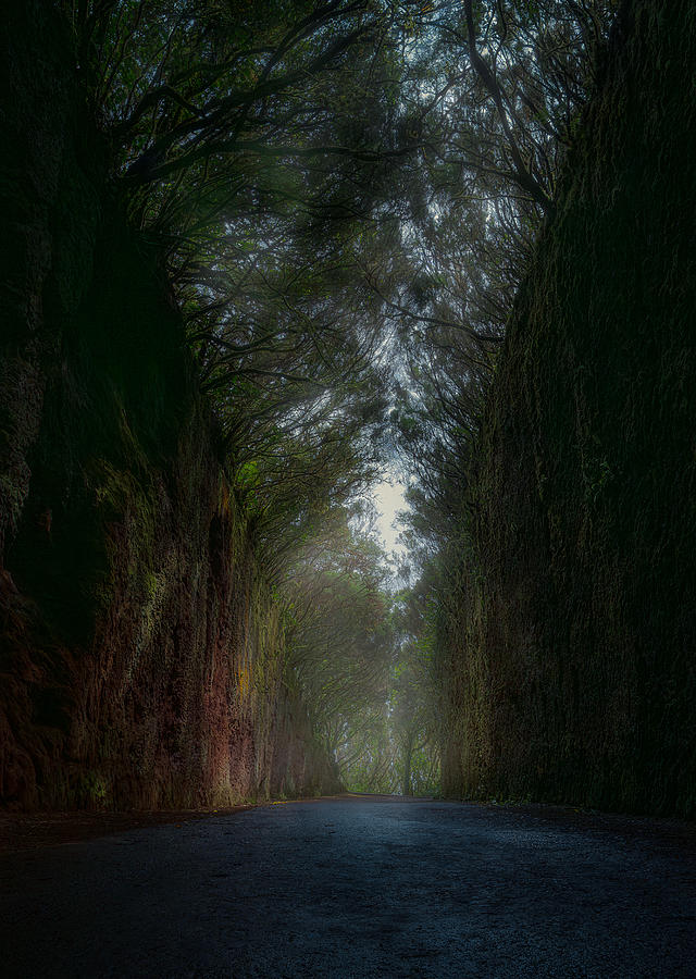 Landscape Photograph - Mysterious Road by Carlos Hernndez Martnez