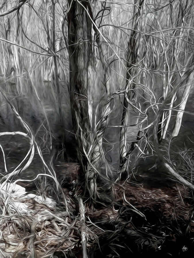 Mystery Among the Vines by Wayne King Mystery Among the Vines by Wayne King