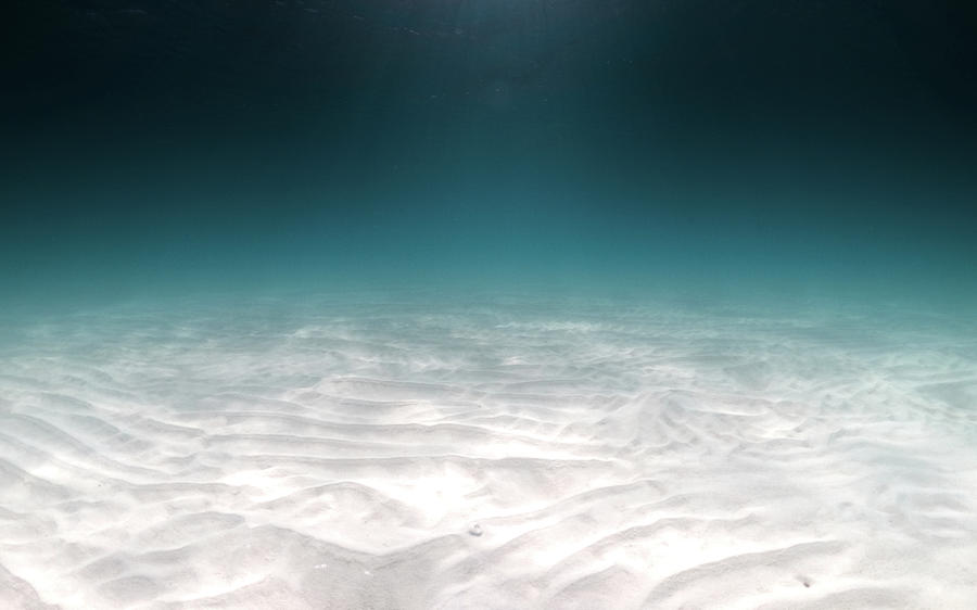 Underwater Photograph - Mystic Blues by Alex Pilgrim