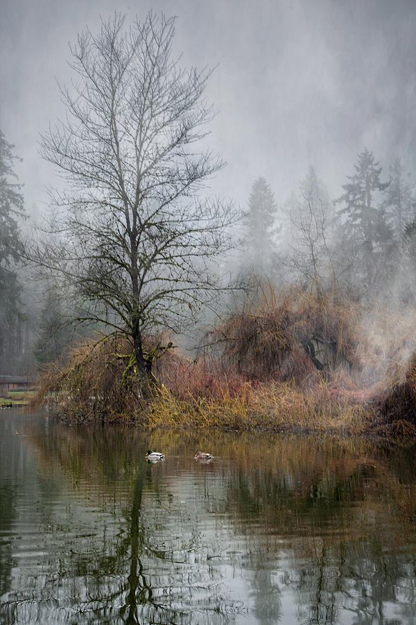 Mystic Lake by Jacqui Boonstra Mystic Lake by Jacqui Boonstra