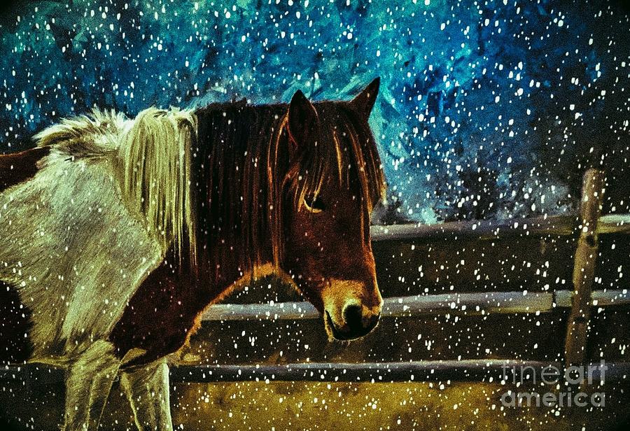 Mystic Mare Digital Art by Lauries Intuitive