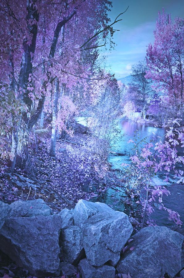 Mystic Morning by Tara Turner Mystic Morning by Tara Turner