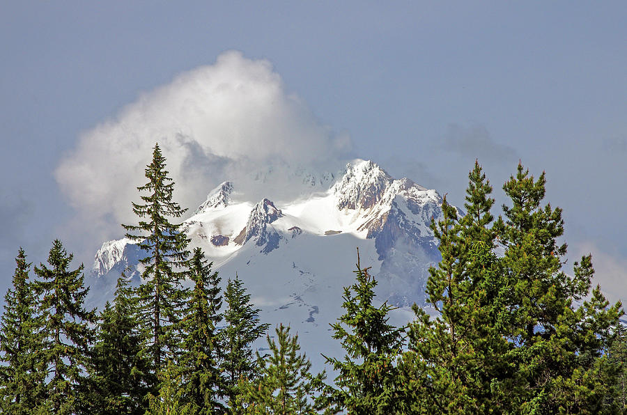 Mystic Mt. Hood Photograph by Teresa Herlinger