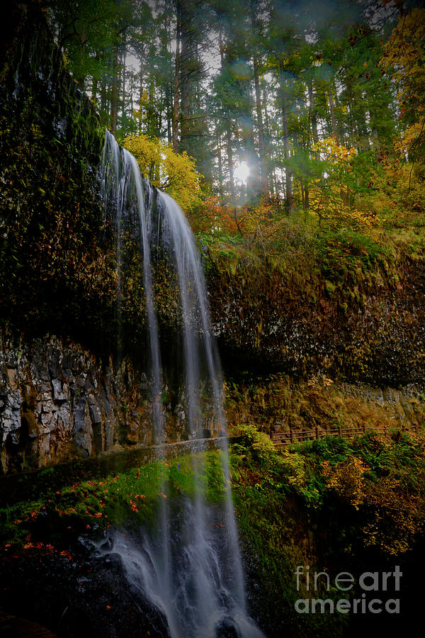 Mystical Falls 1 Photograph by American School