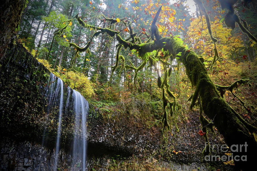 Mystical Falls 2 Photograph by American School