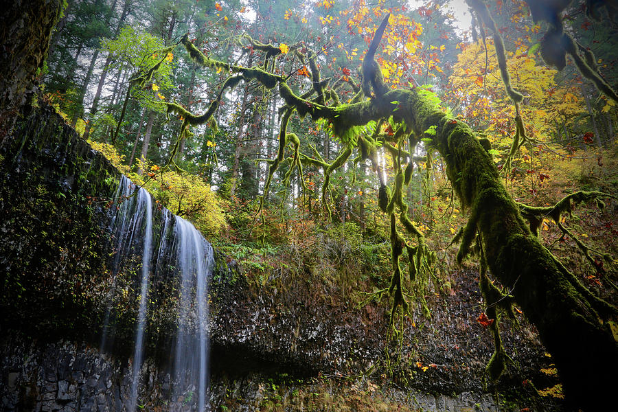 Fall Photograph - Mystical Falls 2 by Susan Vizvary Photography