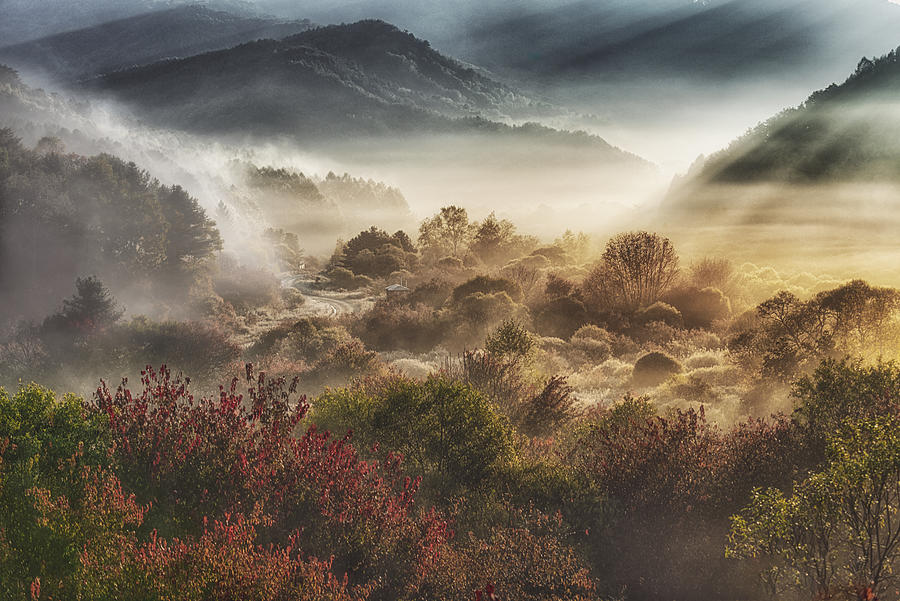 Fall Photograph - Mysticall Autumn Morning (secret Garden) by Charles Andrew Saswinanto