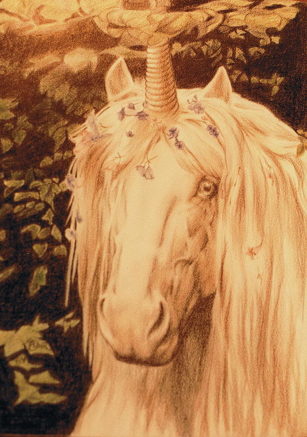 Unicorn Drawing - Mythical Creature by Barbara Keith