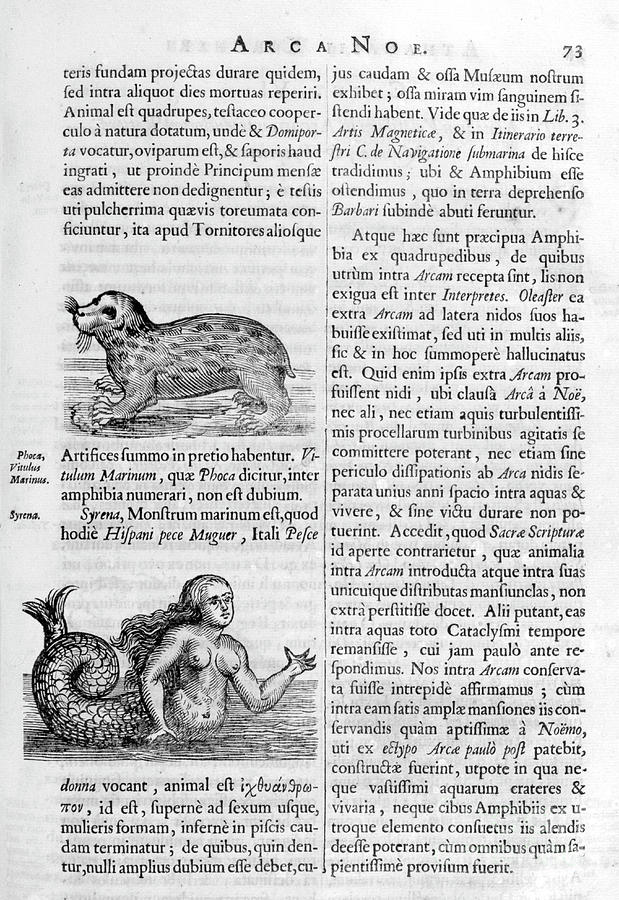 Mermaid Drawing - Mythical Creatures, 1675. Artist by Print Collector