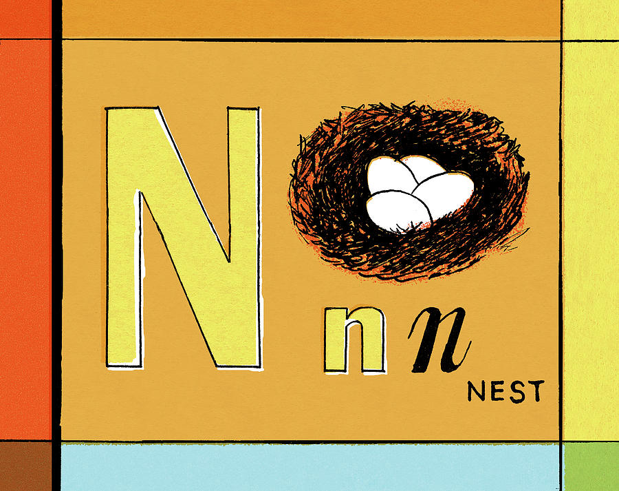 Vintage Drawing - N is for Nest by CSA Images