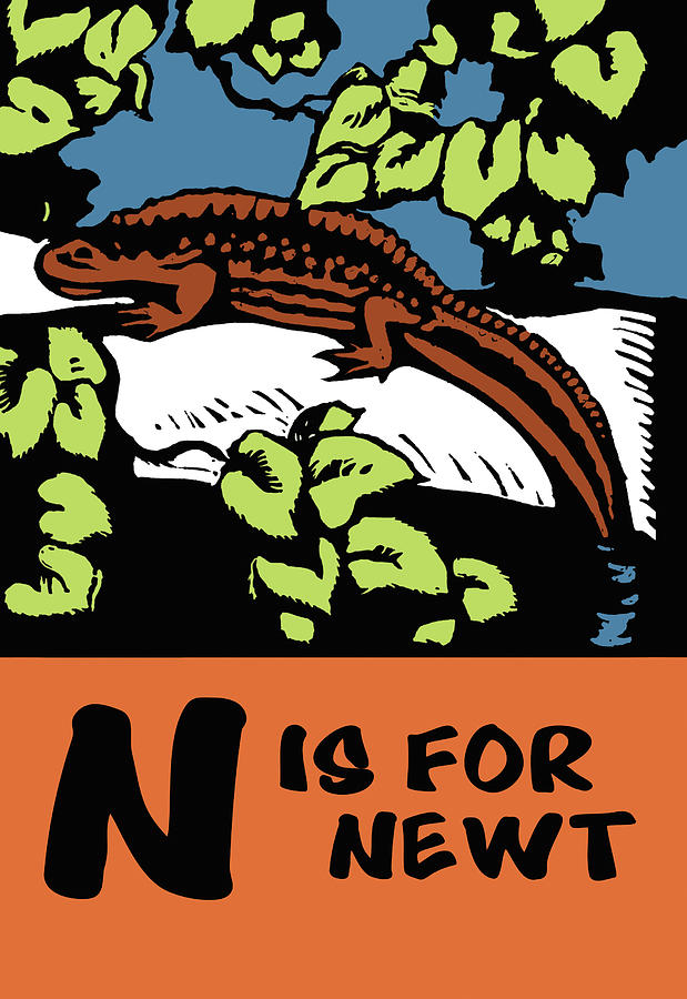 Newt Painting - N is for Newt by Charles Buckles Falls