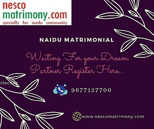 Naidu Matrimonial - Nesco Matrimony Digital Art by Nesco Matrimony