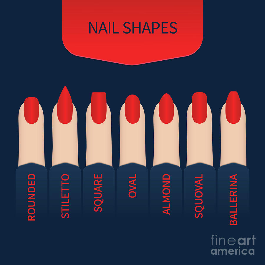 Set Of Nails Shapes Stock Illustration - Download Image Now - Fingernail,  Toenail, Shape - iStock