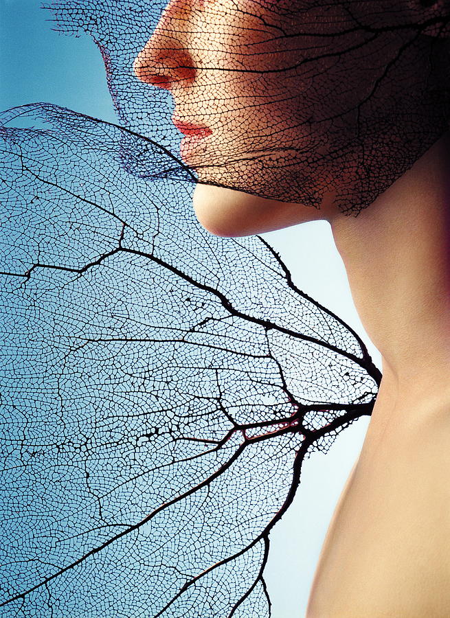 Naked Woman And Sea Fans, Mid Section Photograph by Eva Mueller Naked Woman And Sea Fans, Mid Section Photograph by Eva Mueller