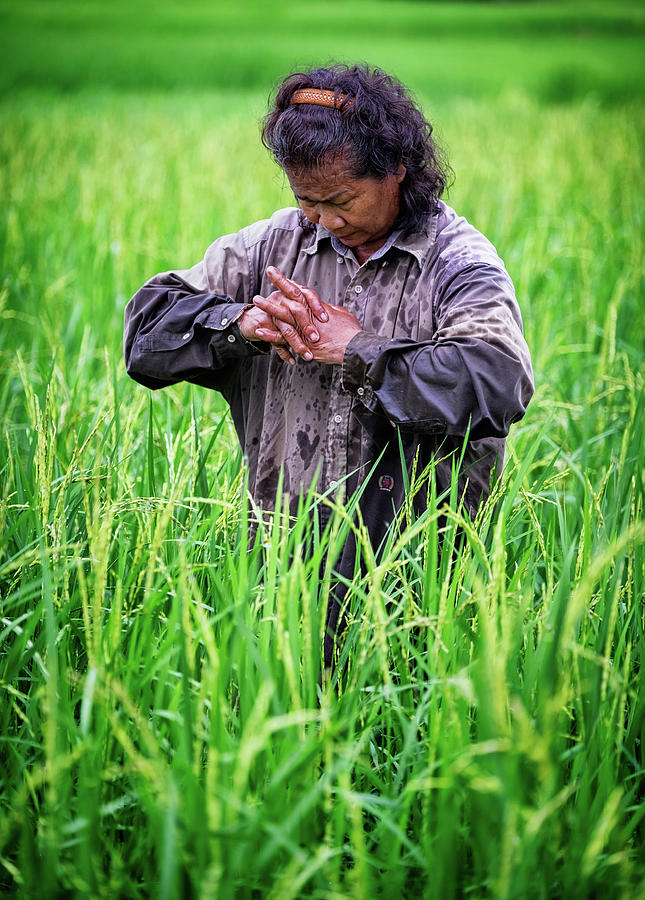 Nakhon Nayok, Thailand by Lee Craker Nakhon Nayok, Thailand by Lee Craker