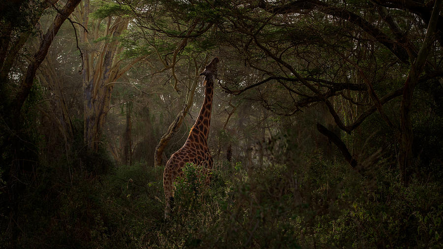 Nakuru Photograph by Valerio Ferraro