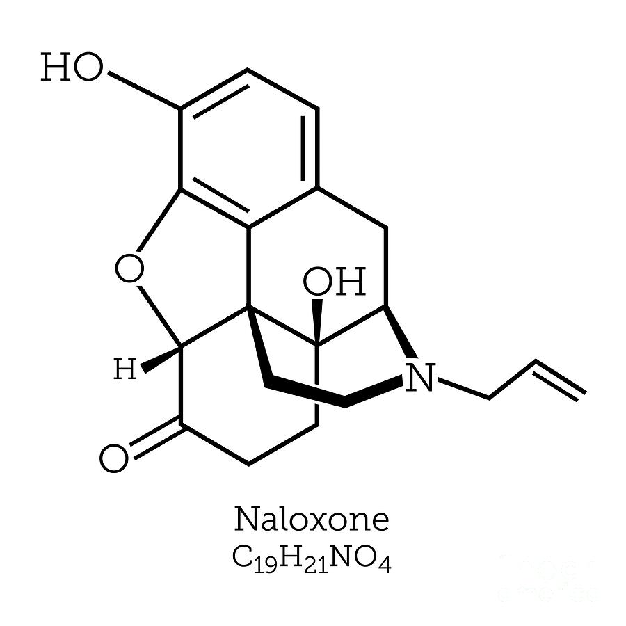 Naloxone Opioid Overdose Treatment Molecule by Greg Williams/science ...