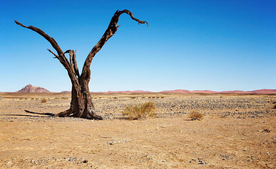 Landscape Photograph - Namib Desert by DPK-Photo