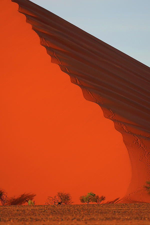 Namib Desert Dune At Sunrise Photograph by Hiroya Minakuchi