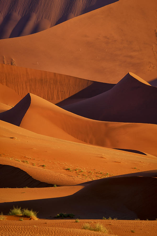 Desert Photograph - Namib Desert: Light And Shadows by Michael Zheng