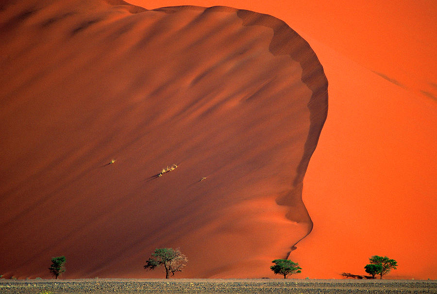 Namib Desert Photograph by Vittorio Ricci - Italy