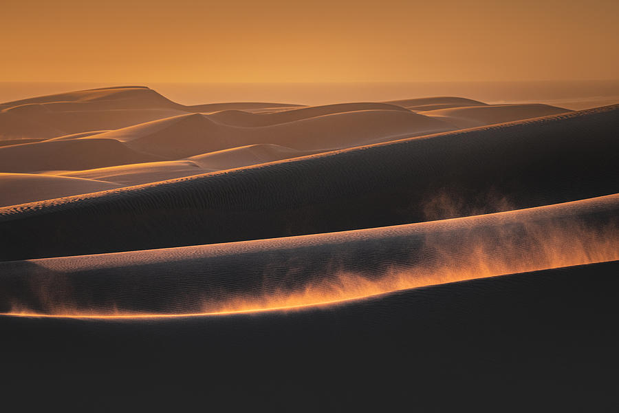 Desert Photograph - Namib Desert by Willa Wei