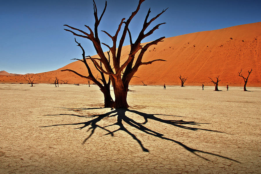 Namib-naukluft National Park Photograph by Jesús Gabán