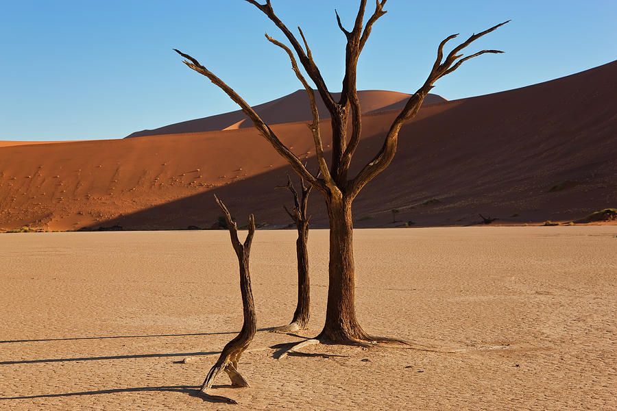 Namib Naukluft National Park, Namibia Photograph by Peter Adams