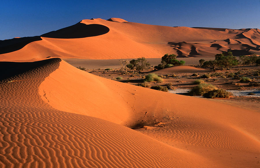 Namib Sand Dunes, Nambia Desert Park Photograph by Lonely Planet